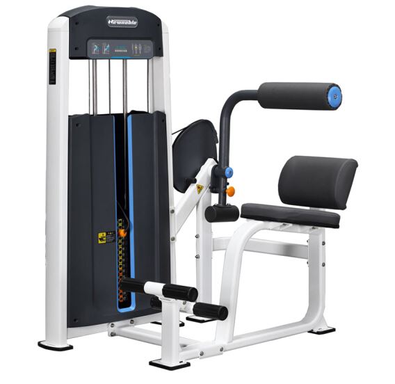 商用健身房专用器械力量器械专项器械无氧健身器械 1010背部伸展训练器